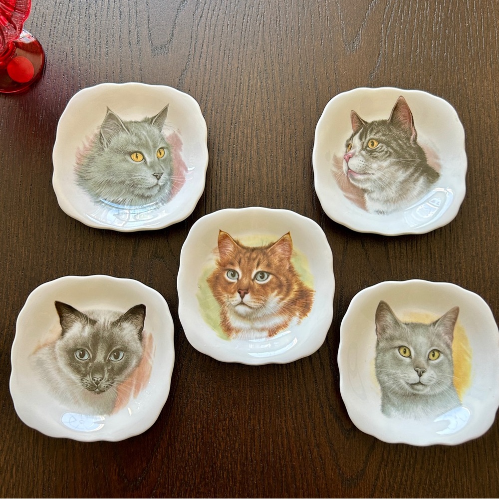 Vintage Set of 5 Bone China Cat Plates Catchall Trinket Dish